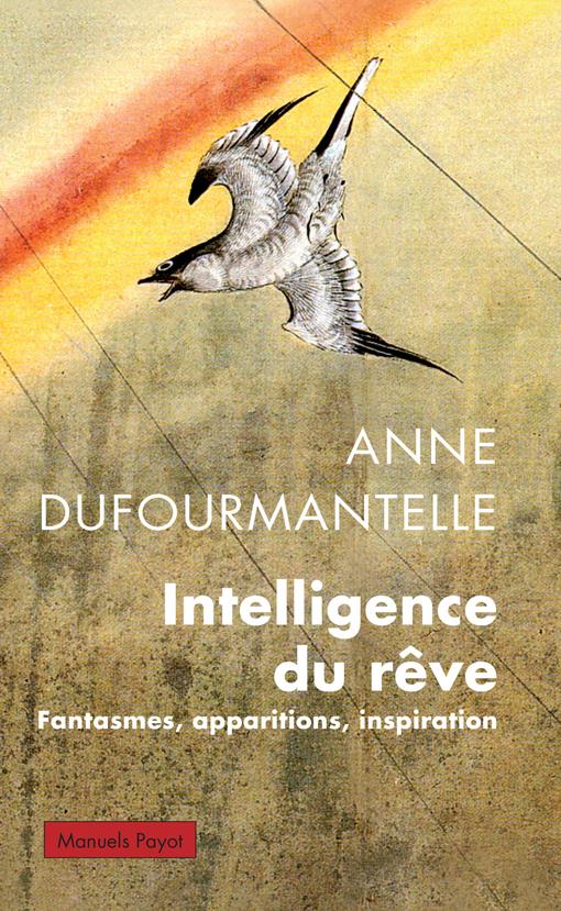 INTELLIGENCE DU REVE
