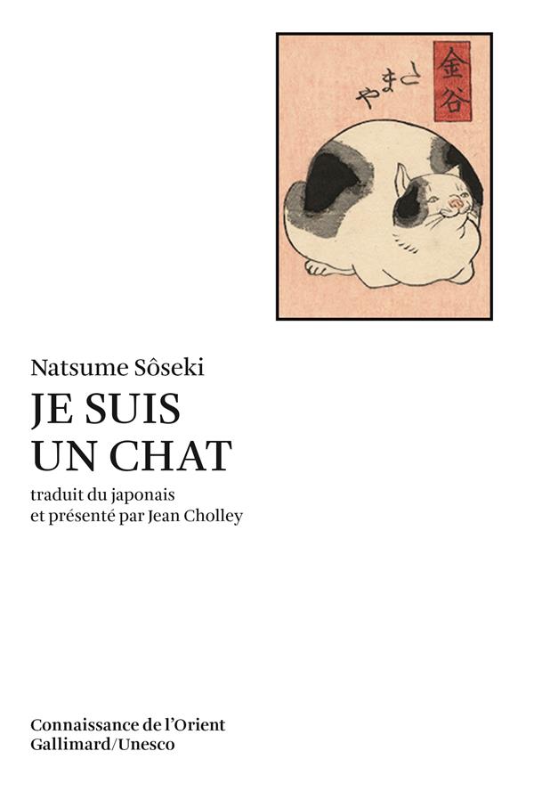 JE SUIS UN CHAT