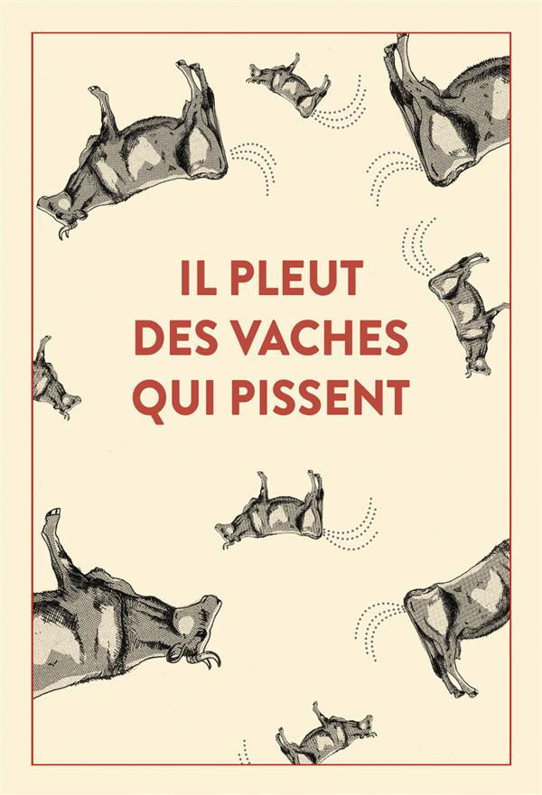 IL PLEUT DES VACHES QUI PISSENT - 300 ACCIDENTS D'EXPRESSION