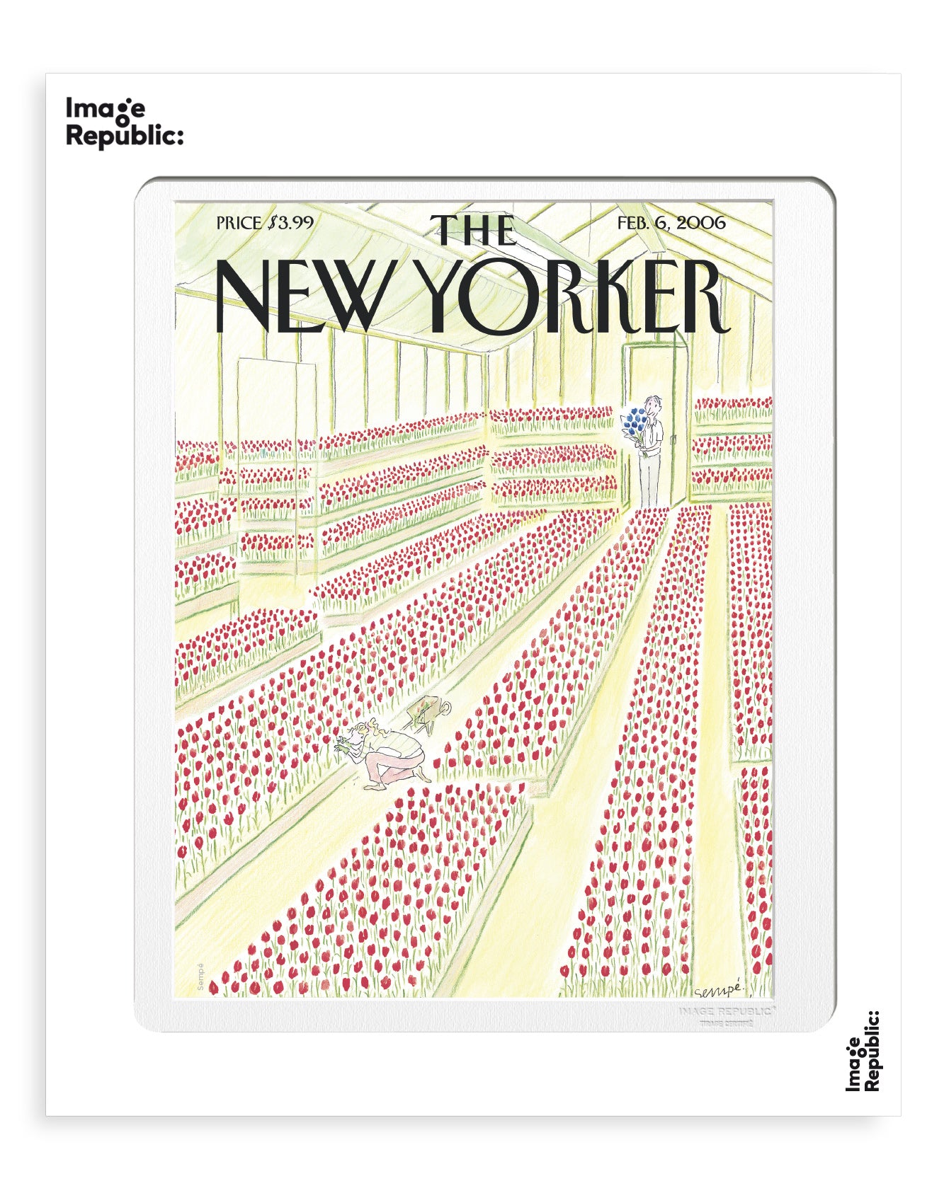 POSTER 40/50 SEMPE THE NEWYORKER 50 SEMPE TULIPES