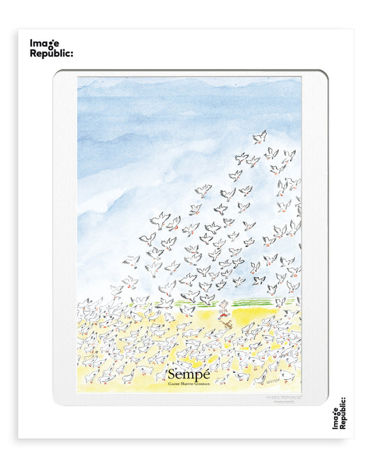 POSTER 40/50 SEMPE OISEAUX