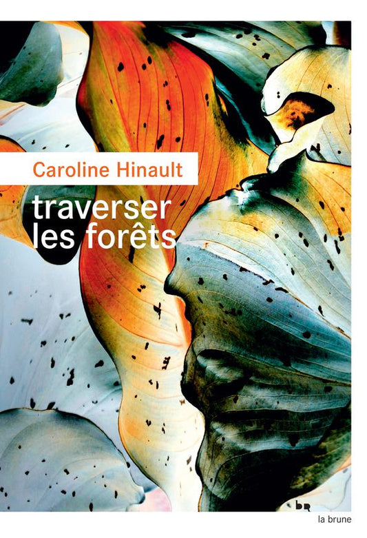 TRAVERSER LES FORETS