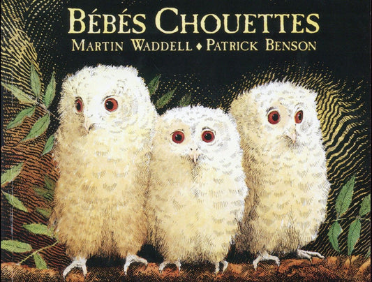 BEBES CHOUETTES