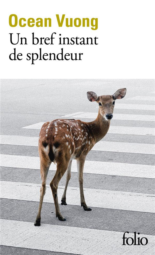 UN BREF INSTANT DE SPLENDEUR