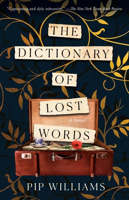 THE DICTIONARY OF LOST WORDS