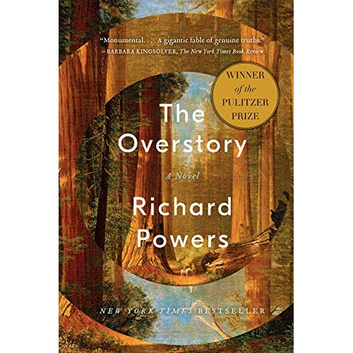 THE OVERSTORY