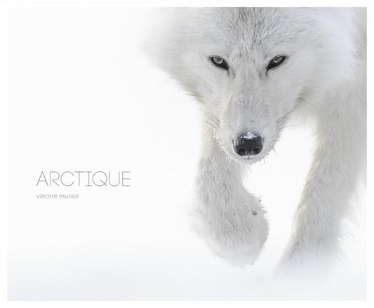 ARCTIQUE
