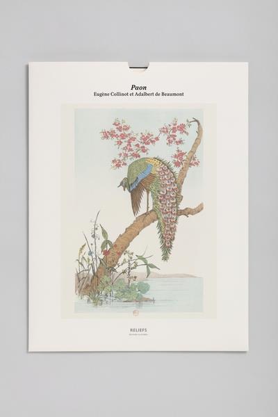 TIRAGE PAON - EDITION ILLUSTREE
