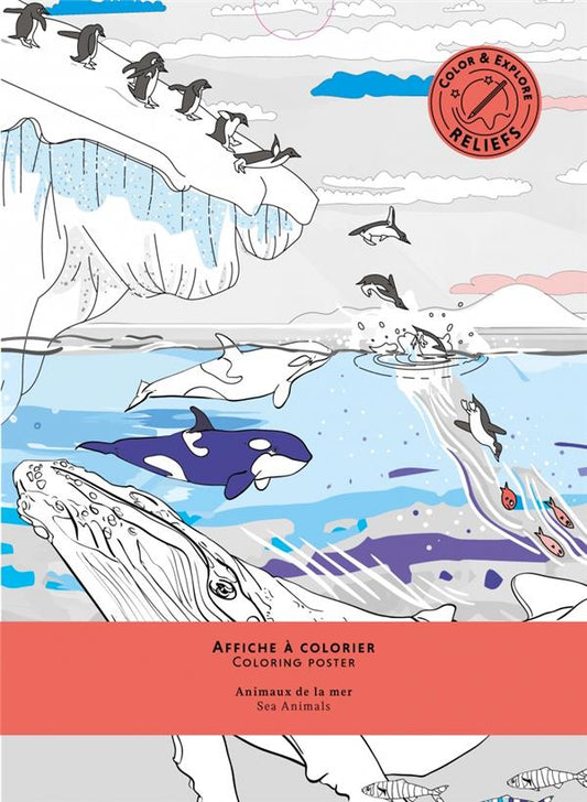 AFFICHE A COLORIER ANIMAUX DE LA MER